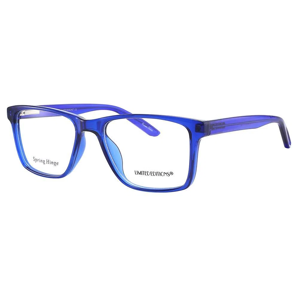 LIMITED EDITIONS 2254 Eyeglasses - view 2